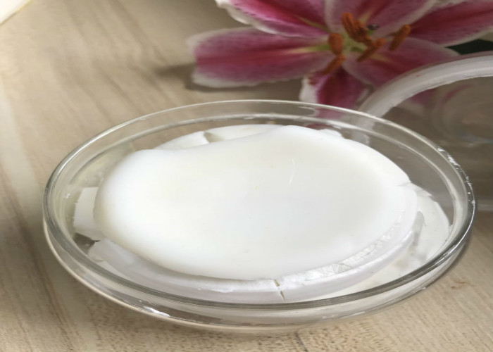 Bột ca cao hữu cơ vàng ánh sáng Vàng, Bơ ca cao tự nhiên cho da